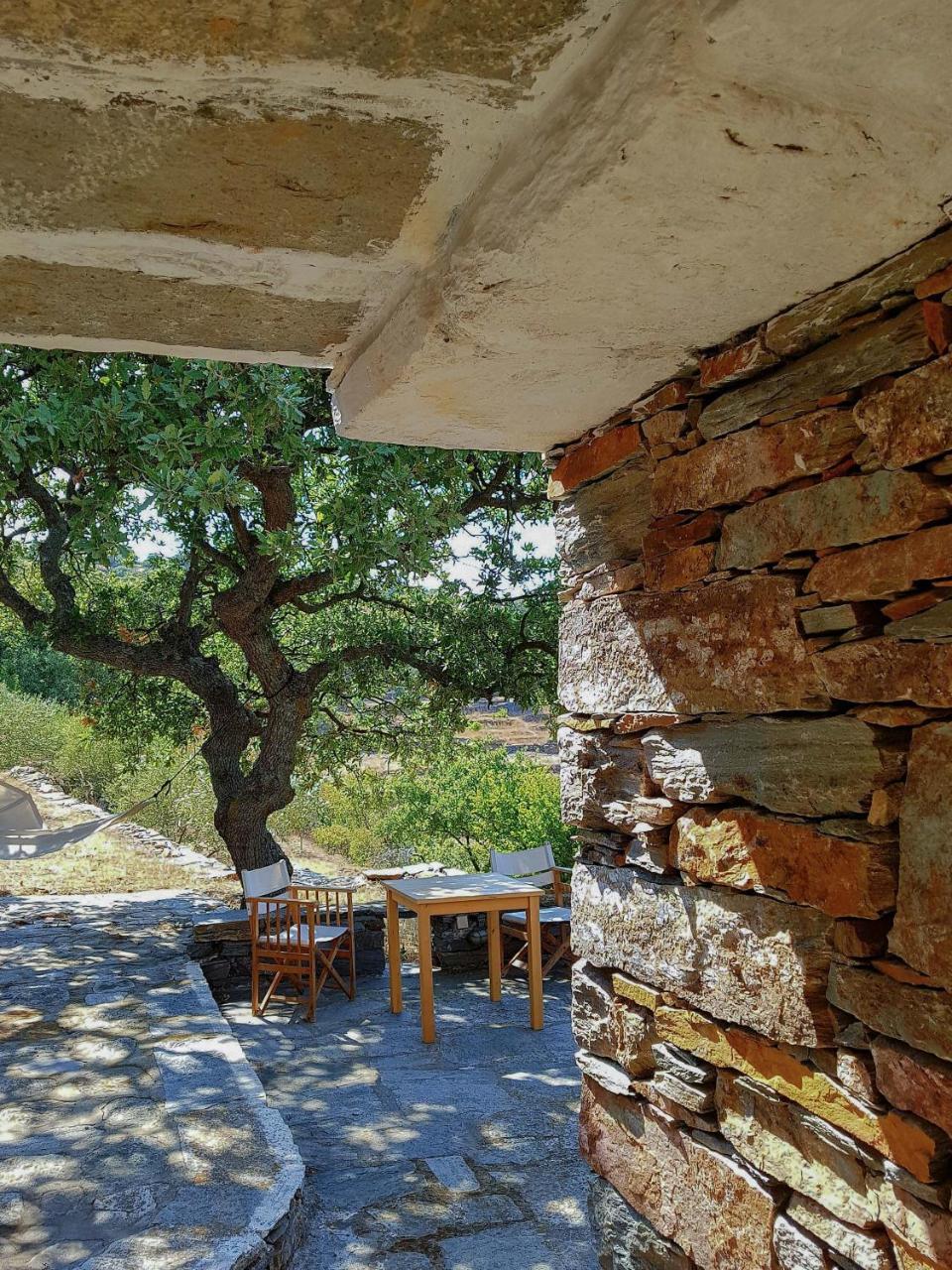 Under Royal Oaks Villa Pera Meria Exterior photo